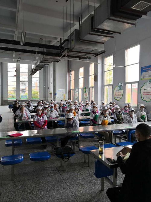 筑牢校園食品安全防線 射洪市經(jīng)開區(qū)市場監(jiān)管所深入綠然國際學校開展專項培訓